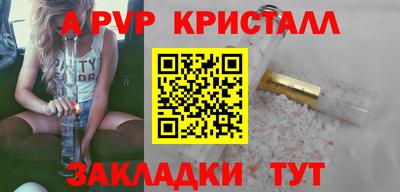 скорость Кингисепп