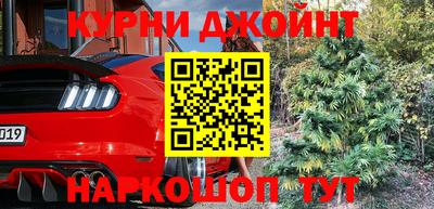 скорость Кингисепп