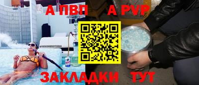 скорость Кингисепп
