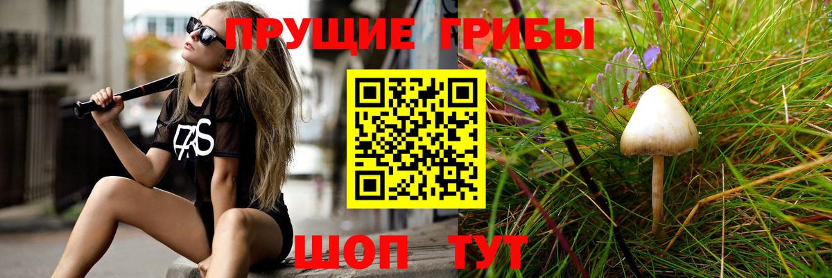 Псилоцибиновые грибы MAGIC MUSHROOMS Качканар